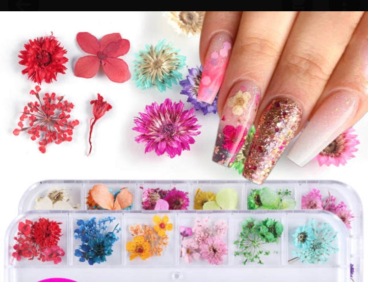 Mix Dried Flowers Nail Decorations Jewelry Natural Floral Leaf Stickers 3D Nail Art Designs Polish Manicure Accessories TRF01-10