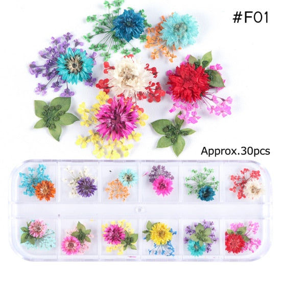 Mix Dried Flowers Nail Decorations Jewelry Natural Floral Leaf Stickers 3D Nail Art Designs Polish Manicure Accessories TRF01-10
