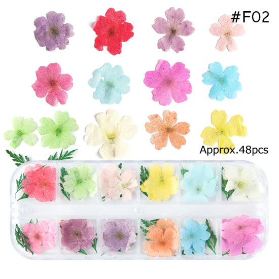 Mix Dried Flowers Nail Decorations Jewelry Natural Floral Leaf Stickers 3D Nail Art Designs Polish Manicure Accessories TRF01-10