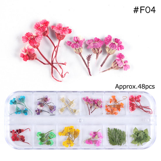 Mix Dried Flowers Nail Decorations Jewelry Natural Floral Leaf Stickers 3D Nail Art Designs Polish Manicure Accessories TRF01-10