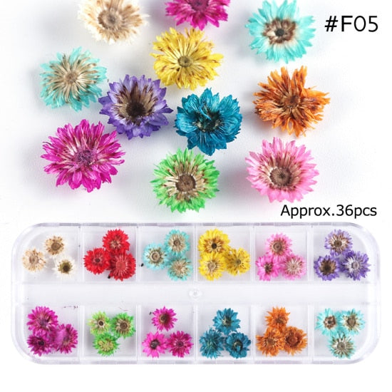 Mix Dried Flowers Nail Decorations Jewelry Natural Floral Leaf Stickers 3D Nail Art Designs Polish Manicure Accessories TRF01-10