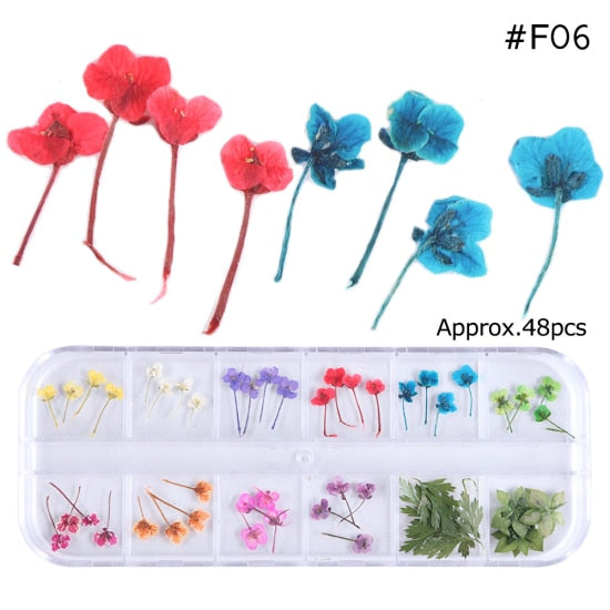 Mix Dried Flowers Nail Decorations Jewelry Natural Floral Leaf Stickers 3D Nail Art Designs Polish Manicure Accessories TRF01-10